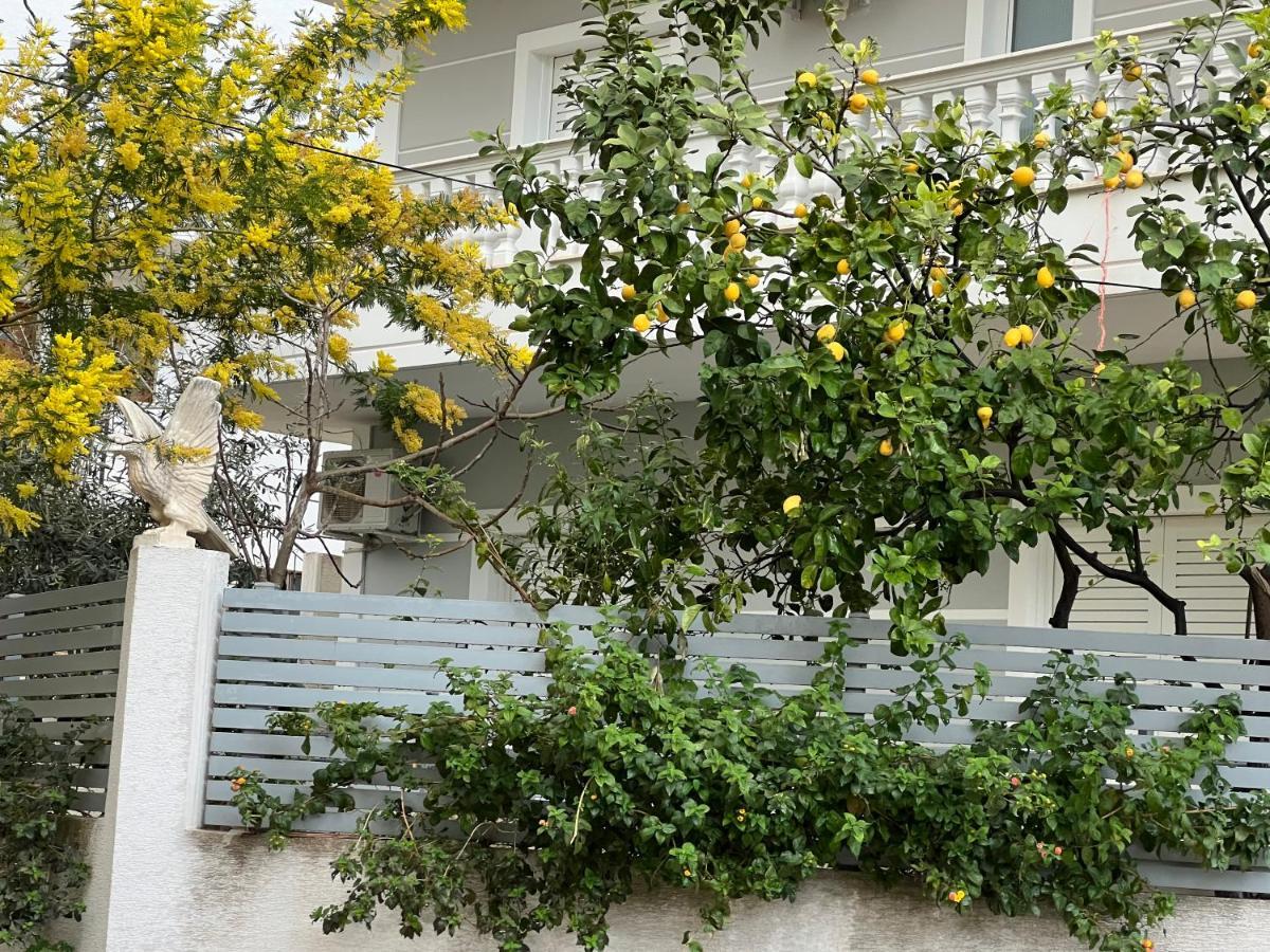 Apartments & Studios Ardian-Mandi Sarande-Albania المظهر الخارجي الصورة